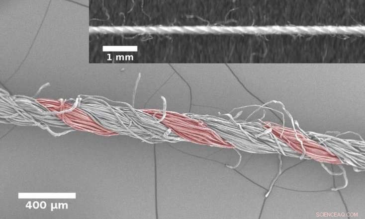 Scientists Uncover Secrets Behind Durable Fabrics: Why Clothes Stay Intact
