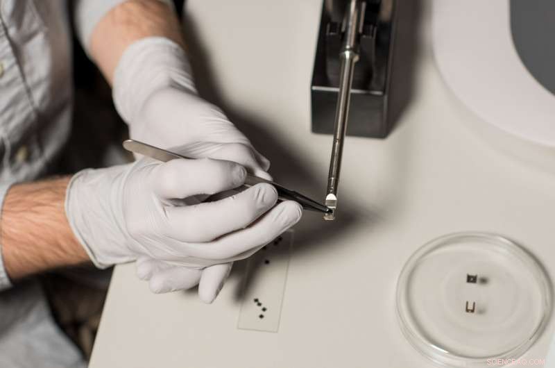 Liquid‑Cell Transmission Electron Microscopy Reveals Nanoscale Dynamics