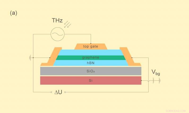New Mechanism Clarifies Terahertz Photoresponse in Graphene