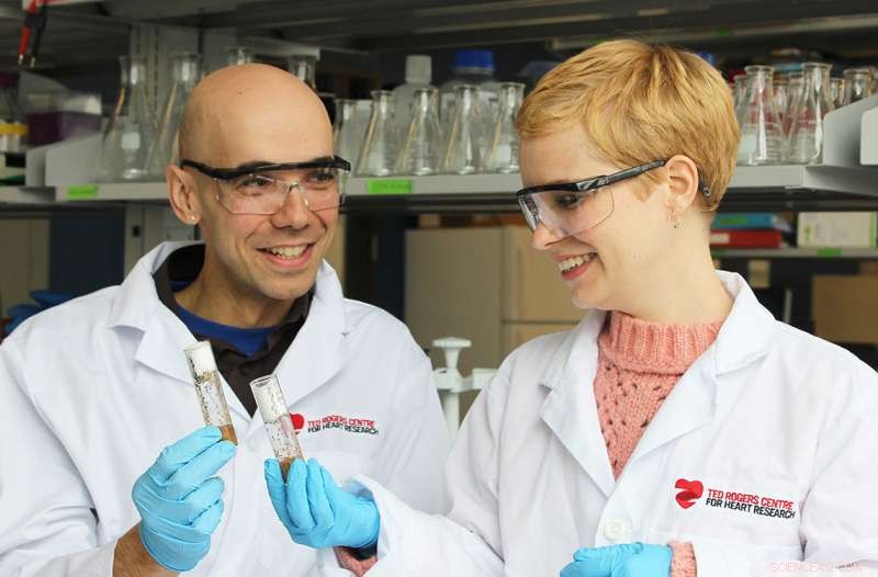 Scientists Reveal Scarring‑Free Healing Mechanism in Fruit Fly Embryos