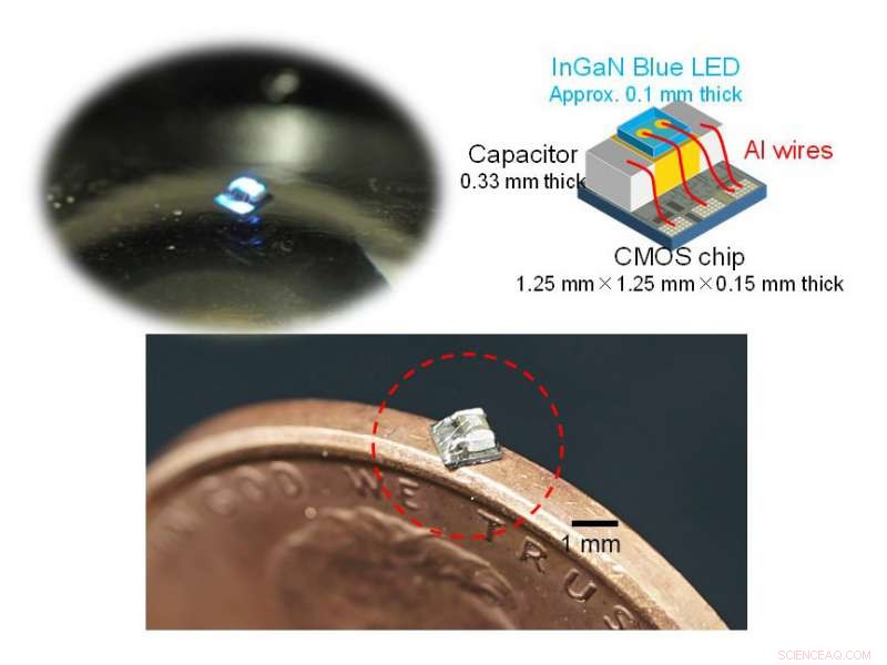 World s Smallest Implantable Optical Biodevice – 1 mm³ for Precise Brain Control