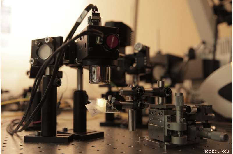 Study Reveals Innovative Alternatives in Medical Imaging