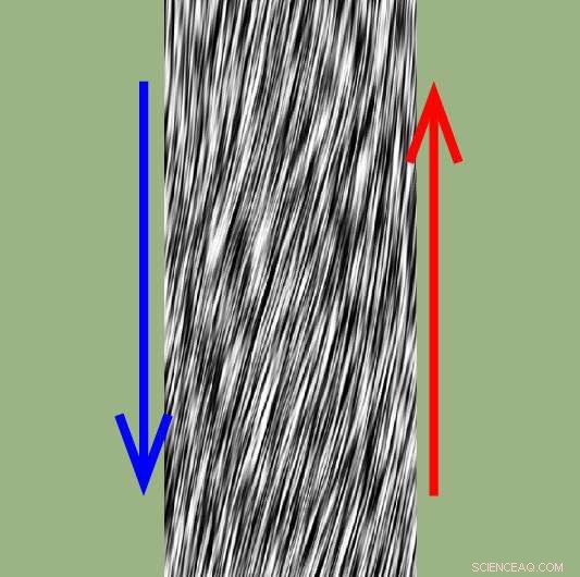 Bidirectional Cell Migration: Insights into Two-Way Traffic Dynamics