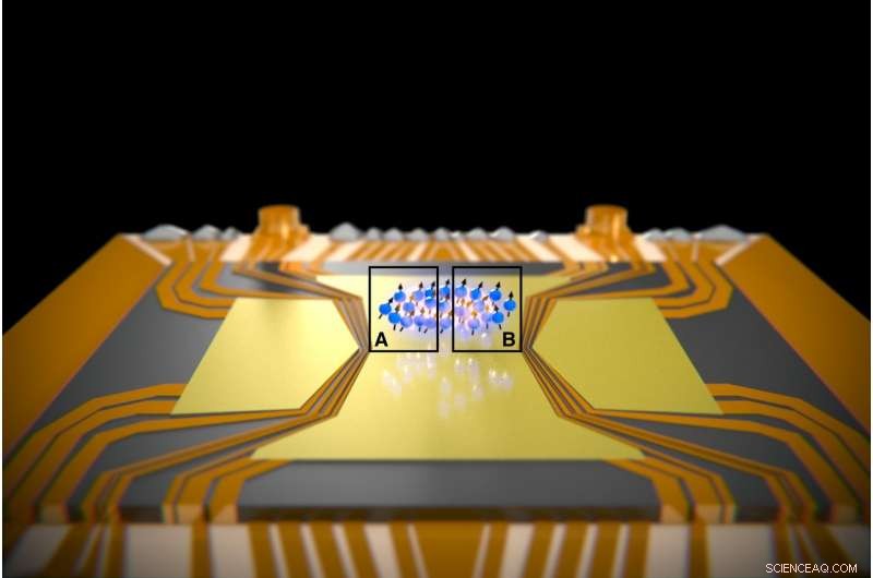 First Observation of the Einstein-Podolsky-Rosen Paradox in a Many-Particle System