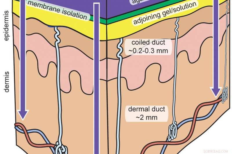 Nanoscale-Porous Membrane Enables Precise Sweat Stimulant Delivery