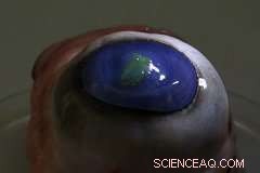 St Andrews Researchers Move Superman s Laser Vision Toward Reality