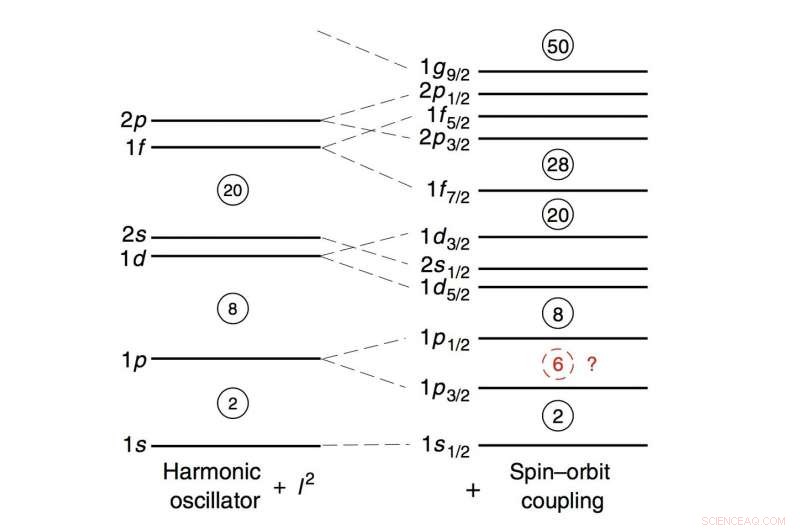 Scientists Reveal Key to Stable Carbon Isotopes