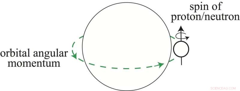 Scientists Reveal Key to Stable Carbon Isotopes