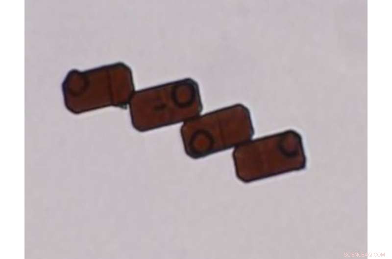 Duke & NCSU Develop Silicon Microparticles That Reconfigure Dynamically On Demand