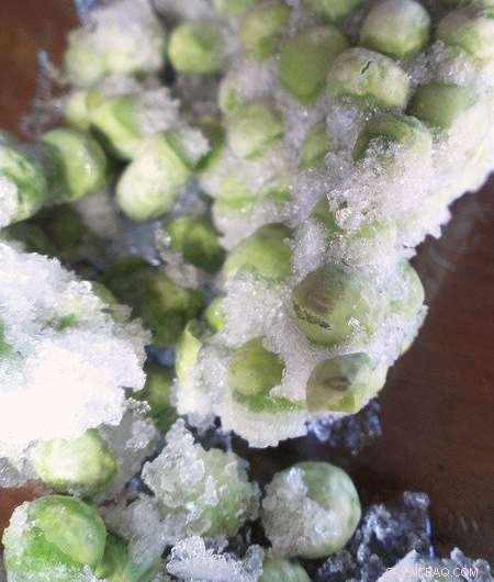 Dynamic Magnetic Fields Halt Ice Nucleation, Preventing Freezer Burn