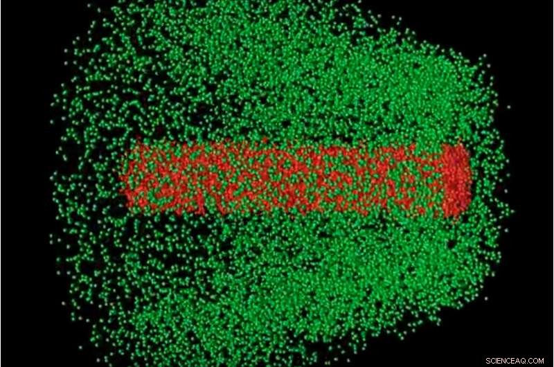 Revolutionary Diagnostic for Extreme Particle Beams Enhances Next‑Gen Accelerators