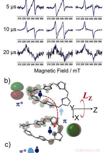 Exploring Möbius Aromaticity in Cyclic Molecules: A Breakthrough Study