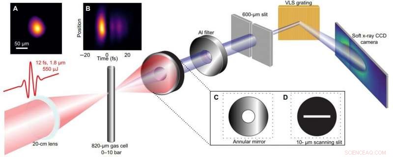 Tabletop Laser-Generated X-Rays Reveal Secrets Across the Water Window