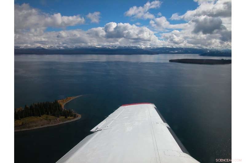 LiDAR Tech Helps Scientists Detect Invasive Lake Trout and Protect Yellowstone s Natural Heritage