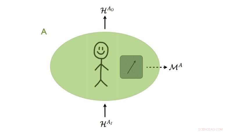 A New Quantum Probability Rule: Reframing Wave Function Collapse
