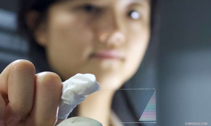 Innovative Chip Enables 2D Quantum Walks for Advanced Computing