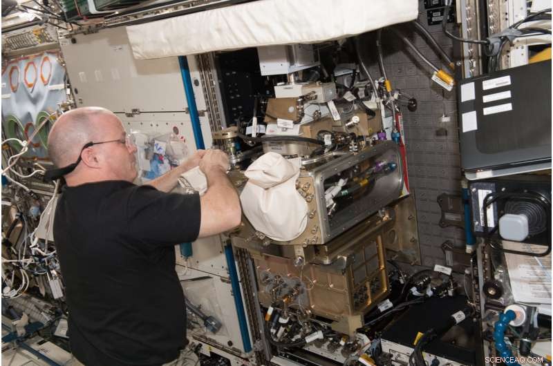 New Study Aims to Engineer Self-Assembling Materials for Space Missions