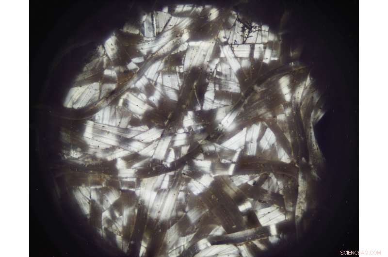 Scientists Replicate Comet Moth Silk to Create Naturally Cooling Fabric