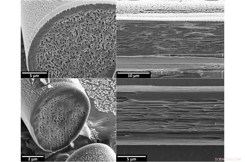 Scientists Replicate Comet Moth Silk to Create Naturally Cooling Fabric