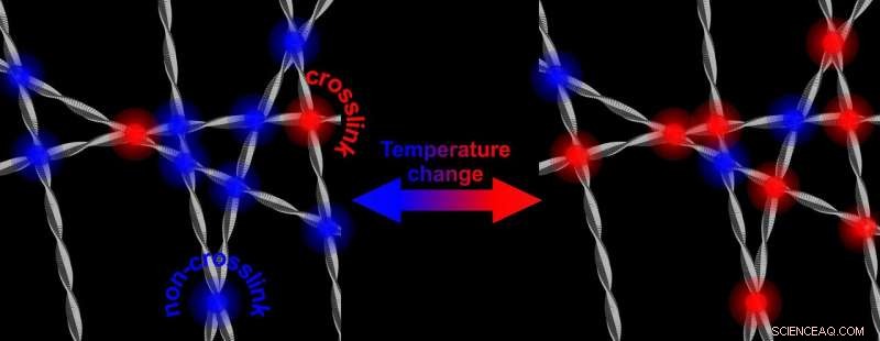 Tuning Parkinson’s-Related Protein: Temperature-Driven Flexibility of Alpha‑Synuclein Fibrils