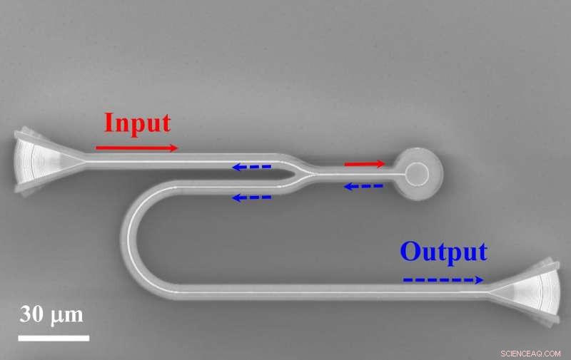 Revolutionary Light-Delivery Technique Enhances Biosensor Performance