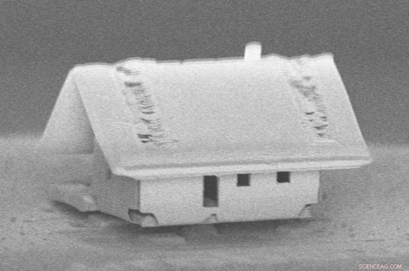 French Nanorobotics Team Builds the Smallest House—Not Even a Mite Fits Through the Door
