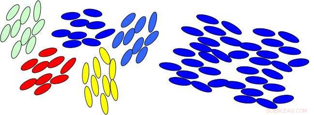 Unveiling the First Signs of Order in Liquid Crystals