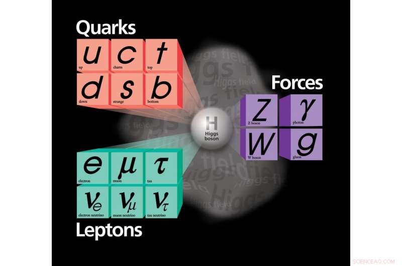 The Standard Model of Particle Physics: The Comprehensive Theory That Describes All Known Fundamental Particles