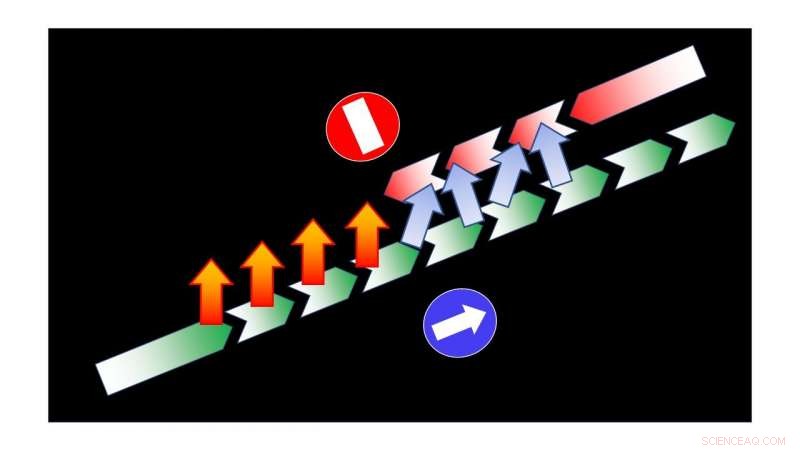 Creating One-Way Spin Current Paths for Advanced Spintronic Applications