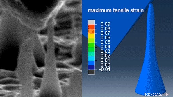 Scientists Develop Breakthrough Technique for Growing Elastic Diamonds