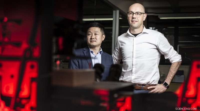 Fluorescent Nanoparticles Provide Real‑Time Insights into Cellular Dysfunction