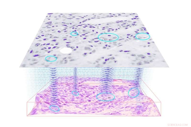 Deep Learning Enhances Imaging Depth and Accelerates Hologram Reconstruction