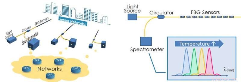 Revolutionizing Sensing: The New Optical Fiber & Spectrometer Solution