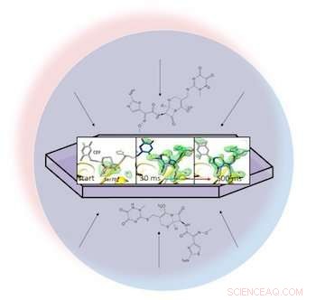 Researchers Advance Serial Crystallography with Groundbreaking Protein–Antibiotic Binding Study