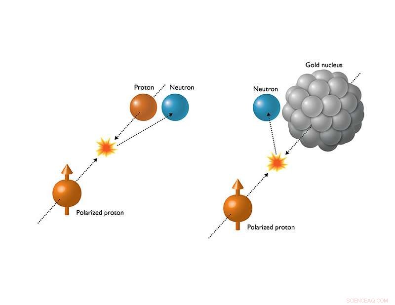 New Insight into Nuclear Spin Reveals Unexpected Neutron Behavior