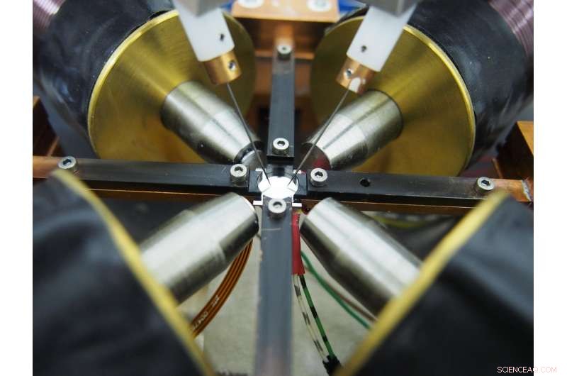 New Evidence Confirms Thermal Spin Currents in Space and Time