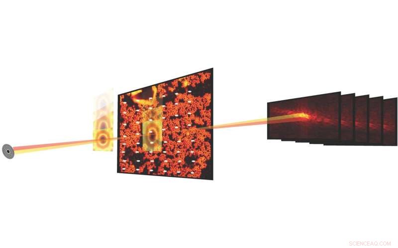 Berkeley Lab Pioneers Real-Time Ptychographic Data Streaming for Advanced Imaging