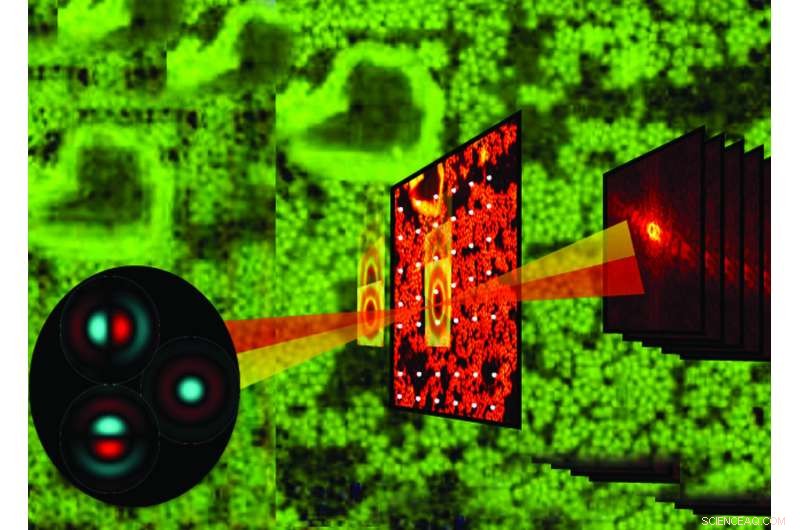 Advanced Algorithm Improves Ptychographic Image Reconstruction Accuracy