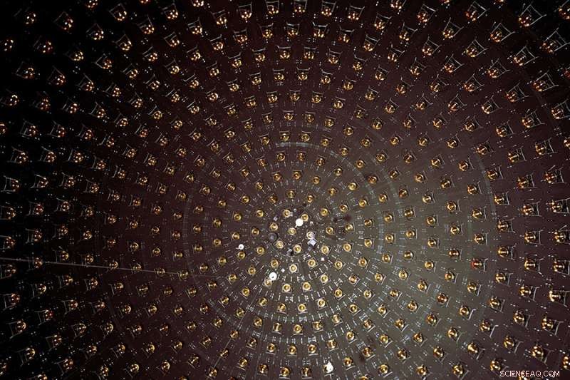 Pioneering Detection of Mono‑Energetic Neutrinos: First Precise Measurement