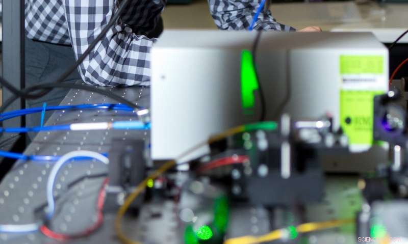 BAMM Technique Enhances Fluorescence Microscopy: CNBP s Breakthrough