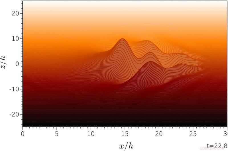 Vorticity Shapes Wave Behavior in Fluids