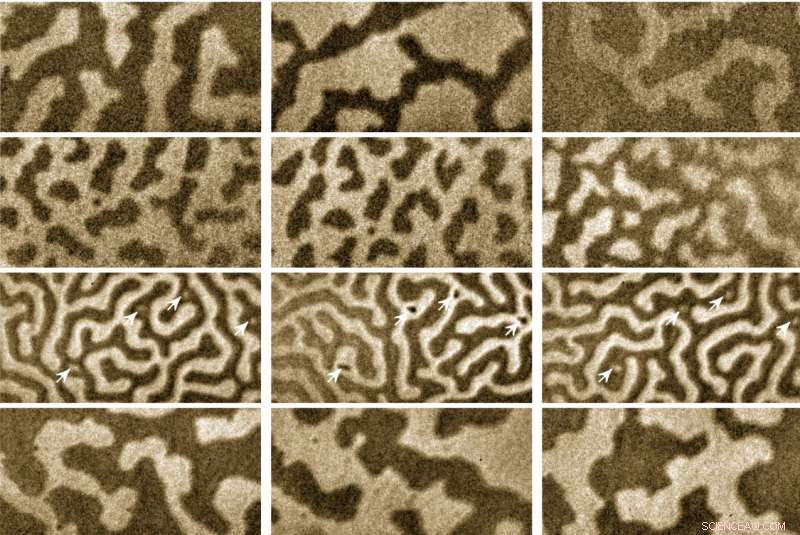 Scientists Unveil Structured Magnetic Patterns in Disordered Materials