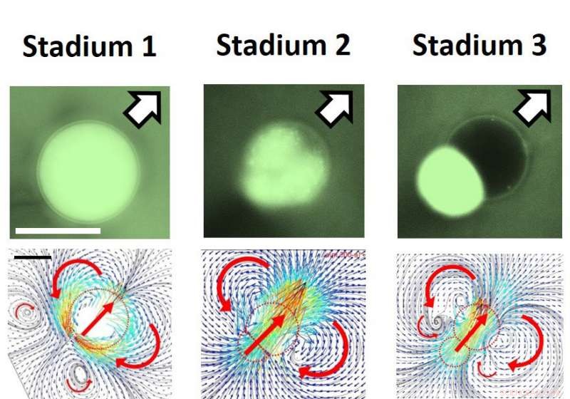 Physicists Engineer Self‑Propelled Droplets for Programmable Micro‑Carrier Applications