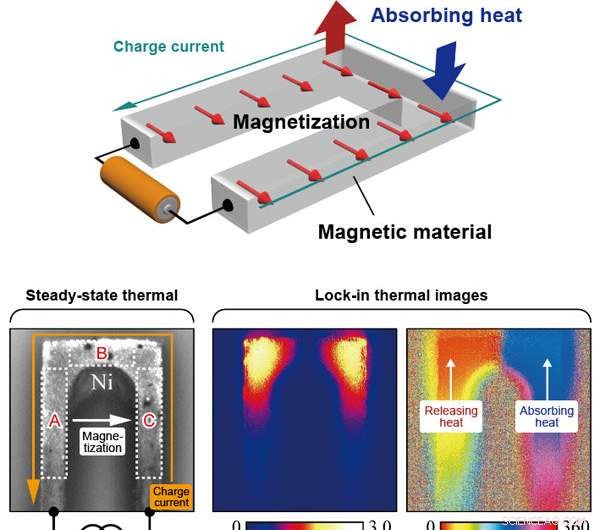 NIMS and Tohoku University Discover Anisotropic Magneto‑Peltier Effect in Ferromagnets