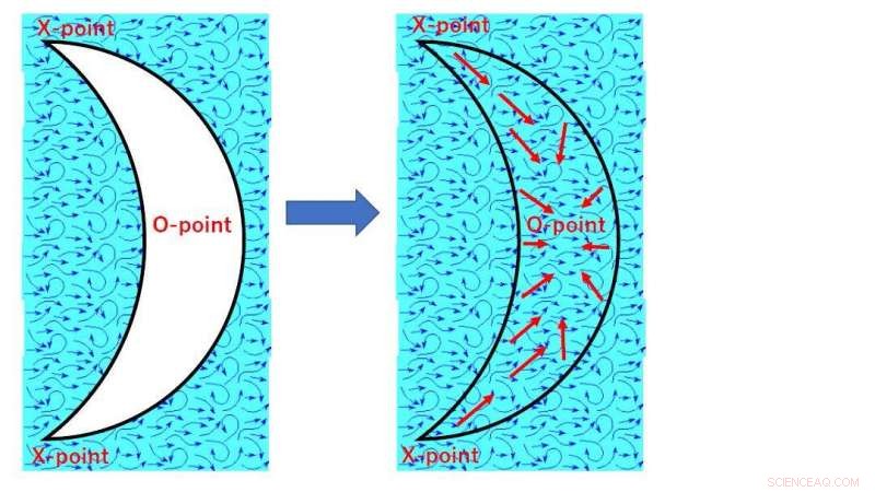 Groundbreaking Experimental Evidence for Plasma Turbulence Propagation