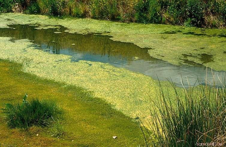 Turbulence: More Than Just Science