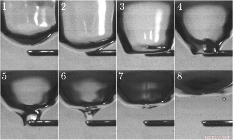 Why Taps Drip: Unveiling the Science and a Simple Fix
