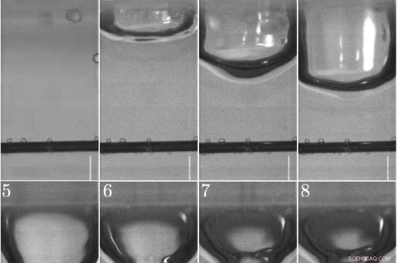 Why Taps Drip: Unveiling the Science and a Simple Fix