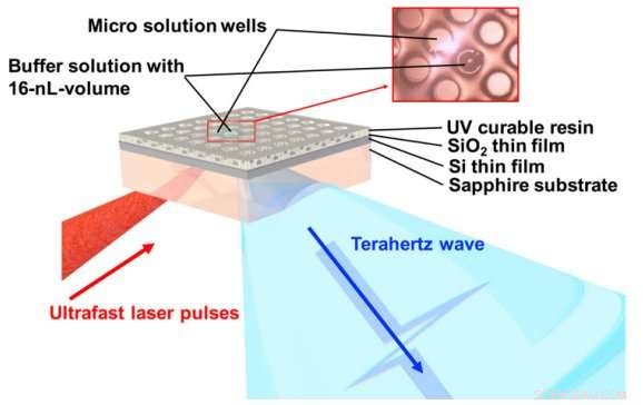 Precise Ion Concentration Measurement in Clinical and Environmental Solutions