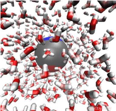 THz Spectroscopy Uncovers Key Insights into Water’s Anomalous Properties
